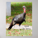 Suche nach turkey poster Erntedank