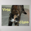 Suche nach lustiges yoga poster Katze