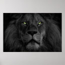 Suche nach schwarzer löwe poster Majestätisch