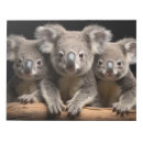 Suche nach koala notizblock Tier