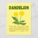 Suche nach unkraut postkarten Löwenzahn