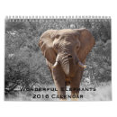 Suche nach elefanten kalender Tiere