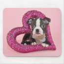 Suche nach welpen liebe mousepads Tiere