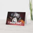 Suche nach dobermann pinscher karten Lustig