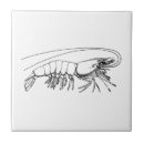 Suche nach schalentiere fliesen Meeresfrüchte