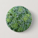 Suche nach obst und gemüse buttons Gesund
