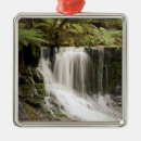 Suche nach feld ornamente Natur