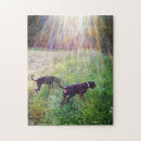 Suche nach sonnenlicht puzzle Fluss