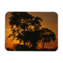 Suche nach savannah magnete Natur
