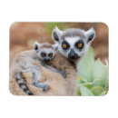 Suche nach ruck magnete Tierwelt