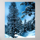 Suche nach winter wonderland poster Wald