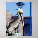Suche nach docker poster Florida