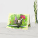 Suche nach kolibris karten Tiere