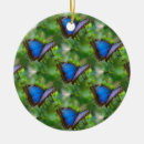 Suche nach blaue schmetterlinge ornamente Natur