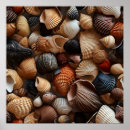 Suche nach seaside poster Muscheln