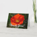 Suche nach klatschmohn karten Natur