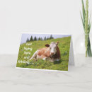 Suche nach verwenden karten Fotografie