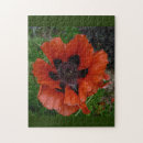 Suche nach mohn puzzle Rot