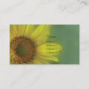 Suche nach sonnenblume visitenkarten Fotografie