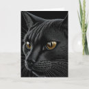 Suche nach geburtstagswünsche katze karten Lustig