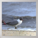 Suche nach ufer poster Strand