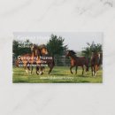 Suche nach wildes pferd visitenkarten Reiter