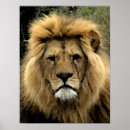 Suche nach afrikanische tiere poster Aquarell