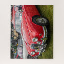 Suche nach jaguar puzzle Auto