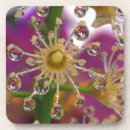 Suche nach niemand untersetzer Makro