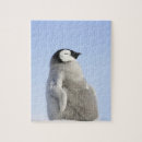 Suche nach baby pinguin puzzle Pinguine