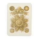 Suche nach kunst deko magnete Meer