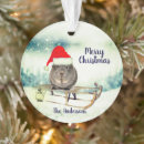 Suche nach guinea pig ornamente Weihnachtsmannmütze