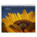 Suche nach sonnenblume kalender Blumen