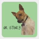Suche nach stinky Witz