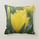 Suche nach gelbe tulpen kissen Blumen