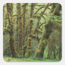 Suche nach regenwald aufkleber Baum