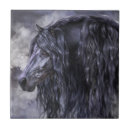Suche nach schwarzes pferd fliesen Wild