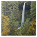Suche nach nord fliesen Landschaft