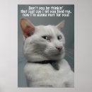 Suche nach funny cat poster Lustige katzen