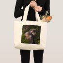 Suche nach primat taschen Gefährdet