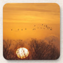 Suche nach flug untersetzer Vogel