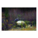 Suche nach wasser pflanze poster Teich