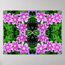 Suche nach clematis blume poster Blumenreich