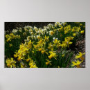 Suche nach kleidung poster Natur