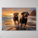 Suche nach brauner labrador poster Schokolade