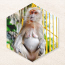 Suche nach primate untersetzer Makaken