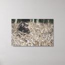 Suche nach schießen poster leinwandbilder Horizontal