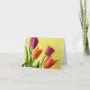 Suche nach tulpen karten Flora