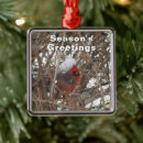 Suche nach roter vogel ornamente Weihnachten
