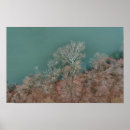 Suche nach drohnen poster Wasser